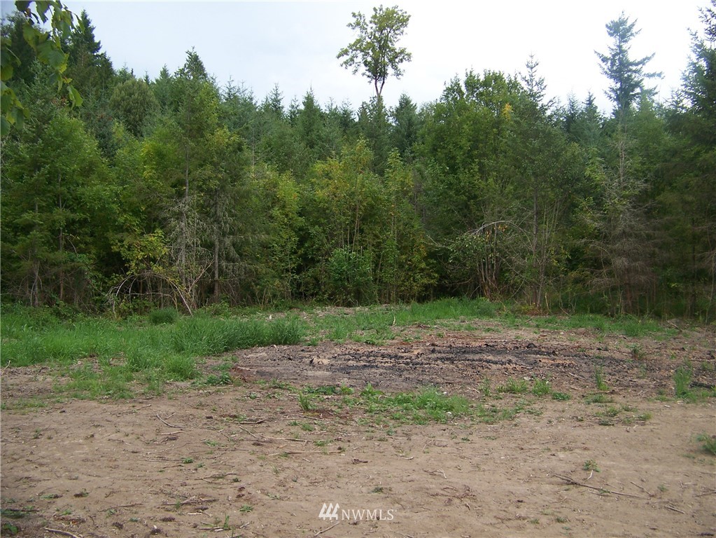 -nna North Fork Road, Unit LOT 2 Chehalis, WA 98532 - Photo 8 of 9