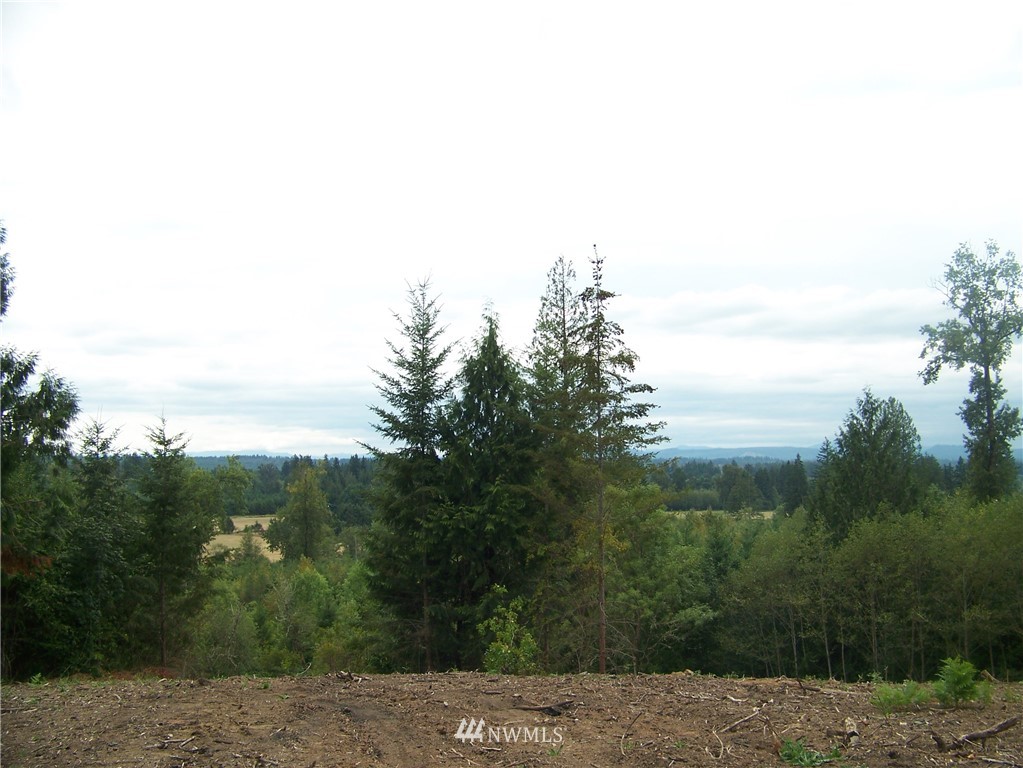 -nna North Fork Road, Unit LOT 2 Chehalis, WA 98532 - Photo 9 of 9