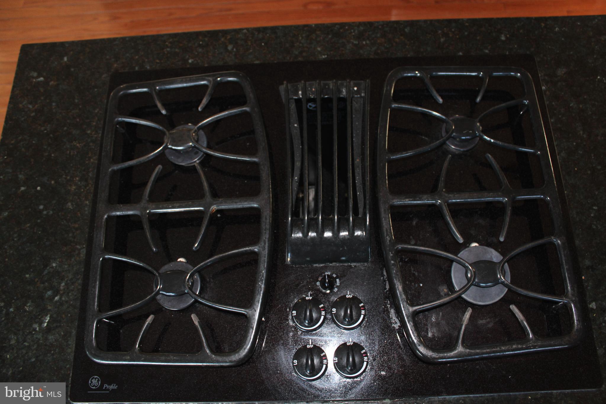 42770 Conquest Circle Brambleton, VA 20148 - Photo 8 of 70 a close view of water heater room