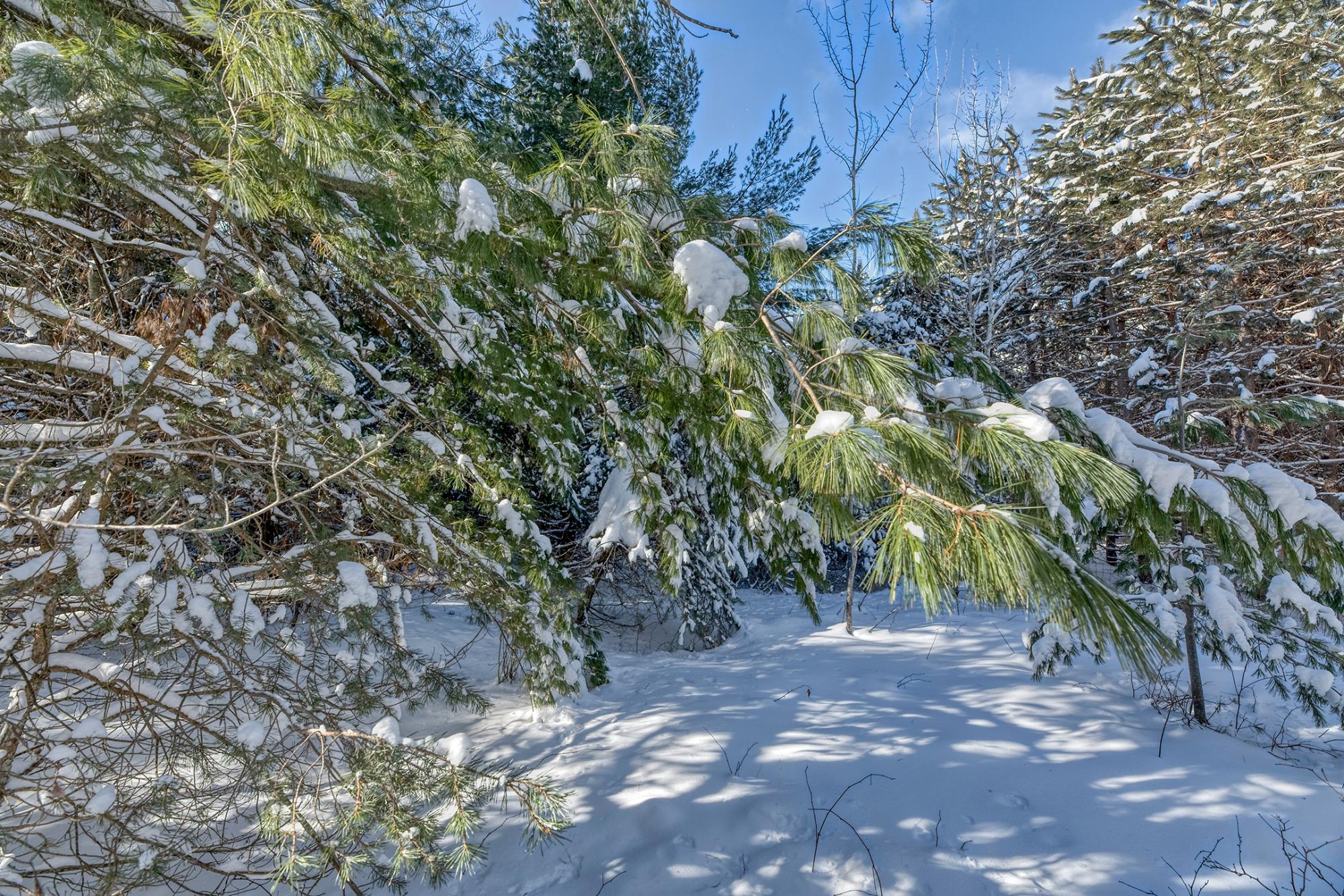 45 Three Lakes, Unit 4 Three Lakes, WI 54562 - Photo 11 of 22 Gallery Image 11