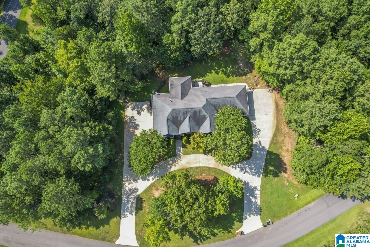 59 Grande View Drive Springville, AL 35146 - Photo 9 of 61
