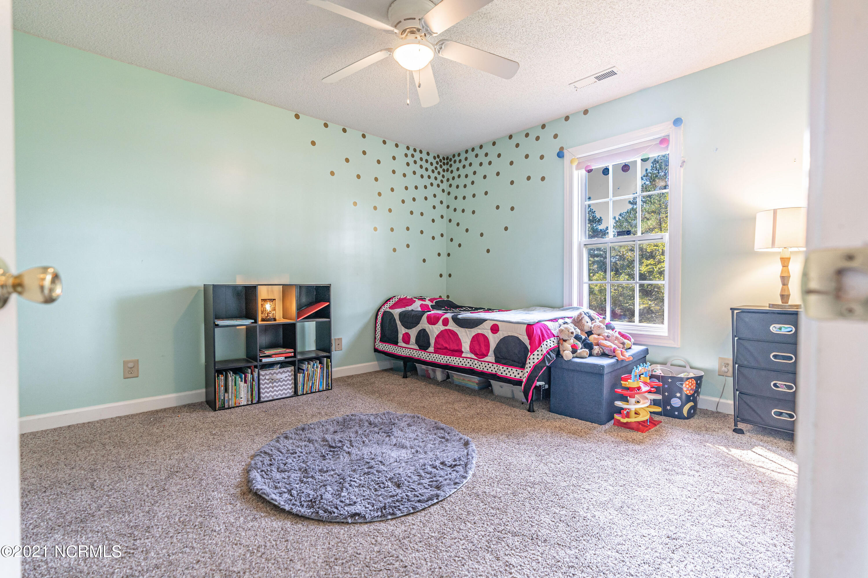 315 Joel Road Carthage, NC 28327 - Photo 24 of 45 DSC04927-Edit