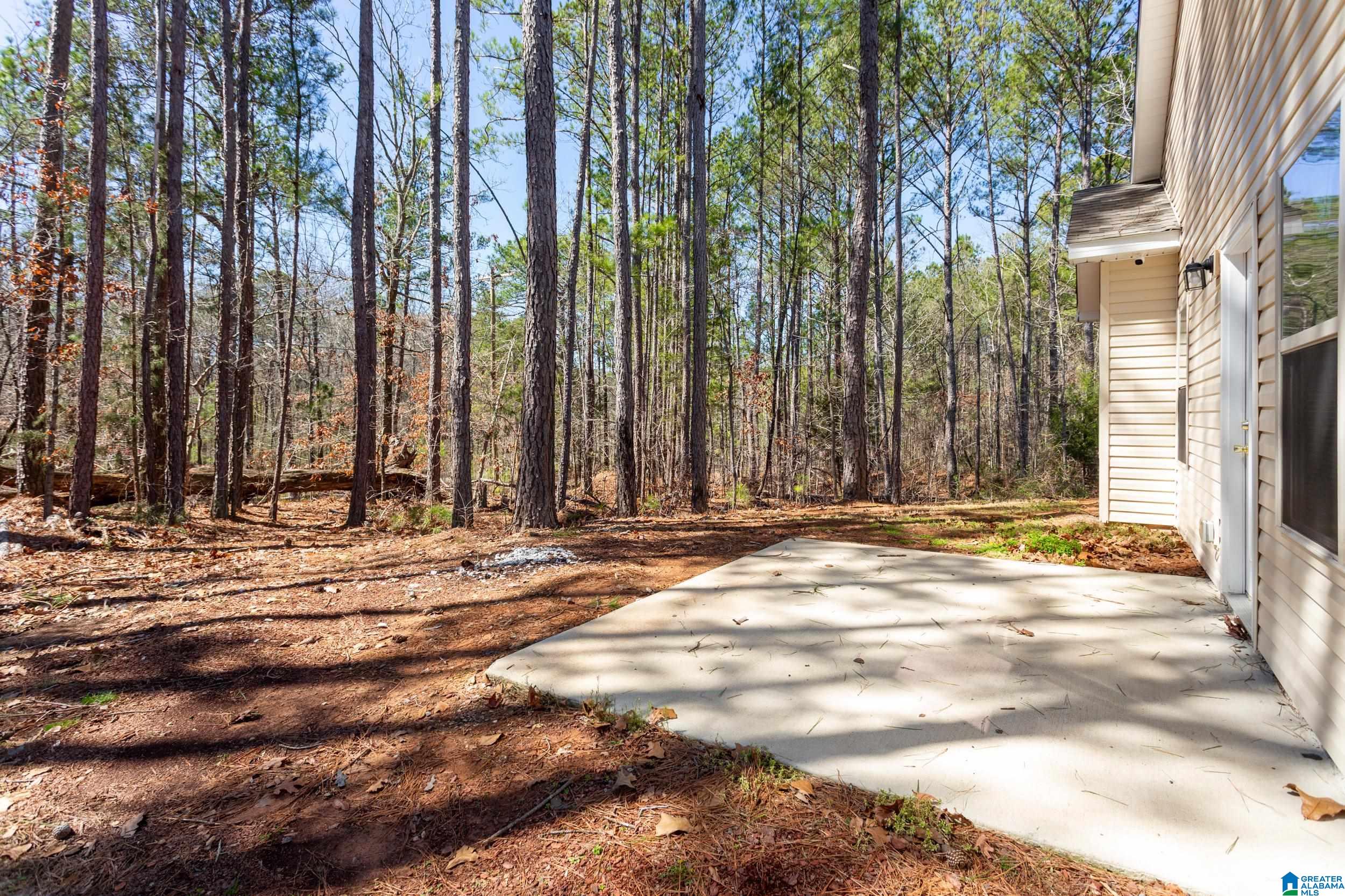726 Twin Ridge Circle Lincoln, AL 35096 - Photo 26 of 31