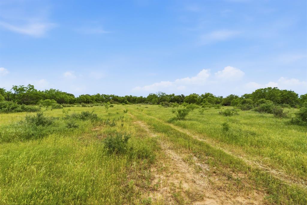 1 Fm 880 Moran, TX 76464 - Photo 3 of 13