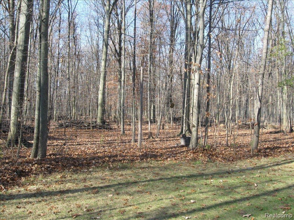 10344 Seymour Road Gaines, MI 48436 - Photo 4 of 5 IMG_0782