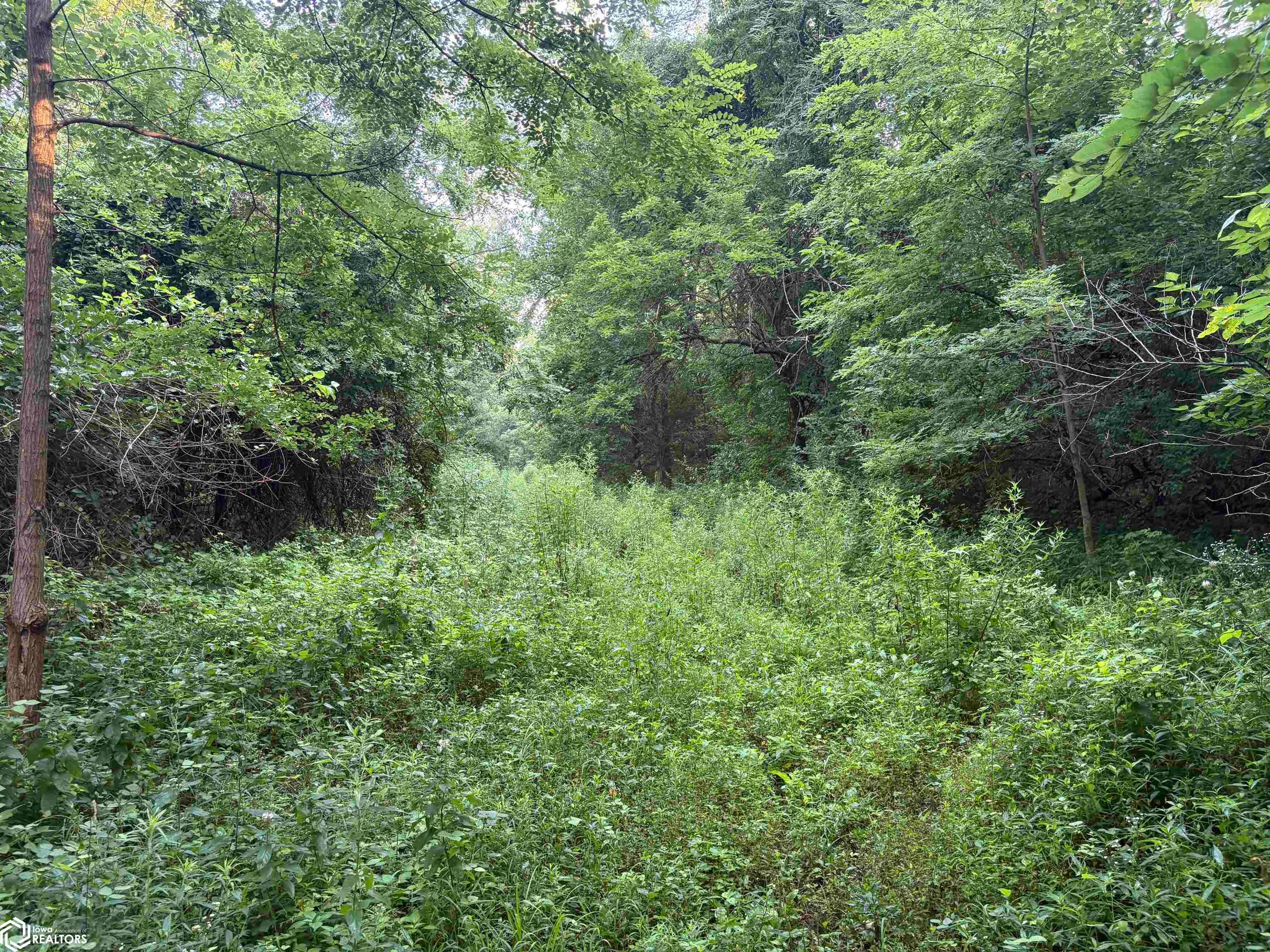 200th Street Fort Madison, IA 52627 - Photo 23 of 25 Gallery Image 23