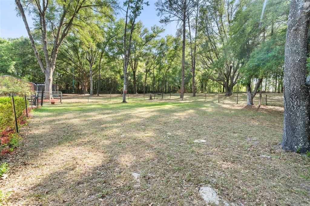 1114 Southwest 143rd Street Newberry, FL 32669 - Photo 50 of 57