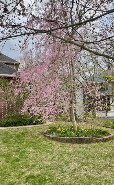 7412 Forest Ridge Drive Schererville, IN 46375 - Photo 59 of 60 a view of a yard with an outdoor space