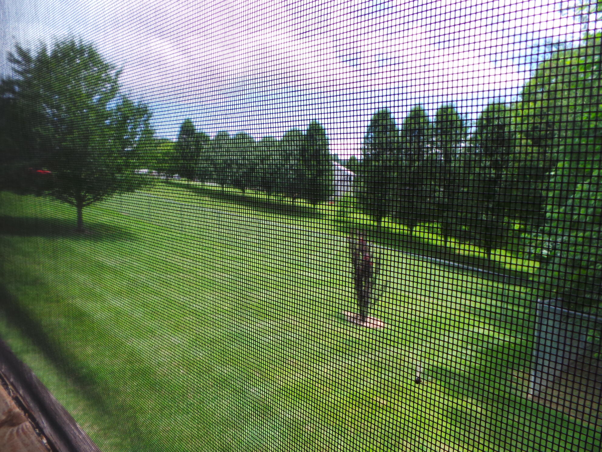 169 Laurel View Road Jonesborough, TN 37659 - Photo 146 of 159 RELAXING VIEWS