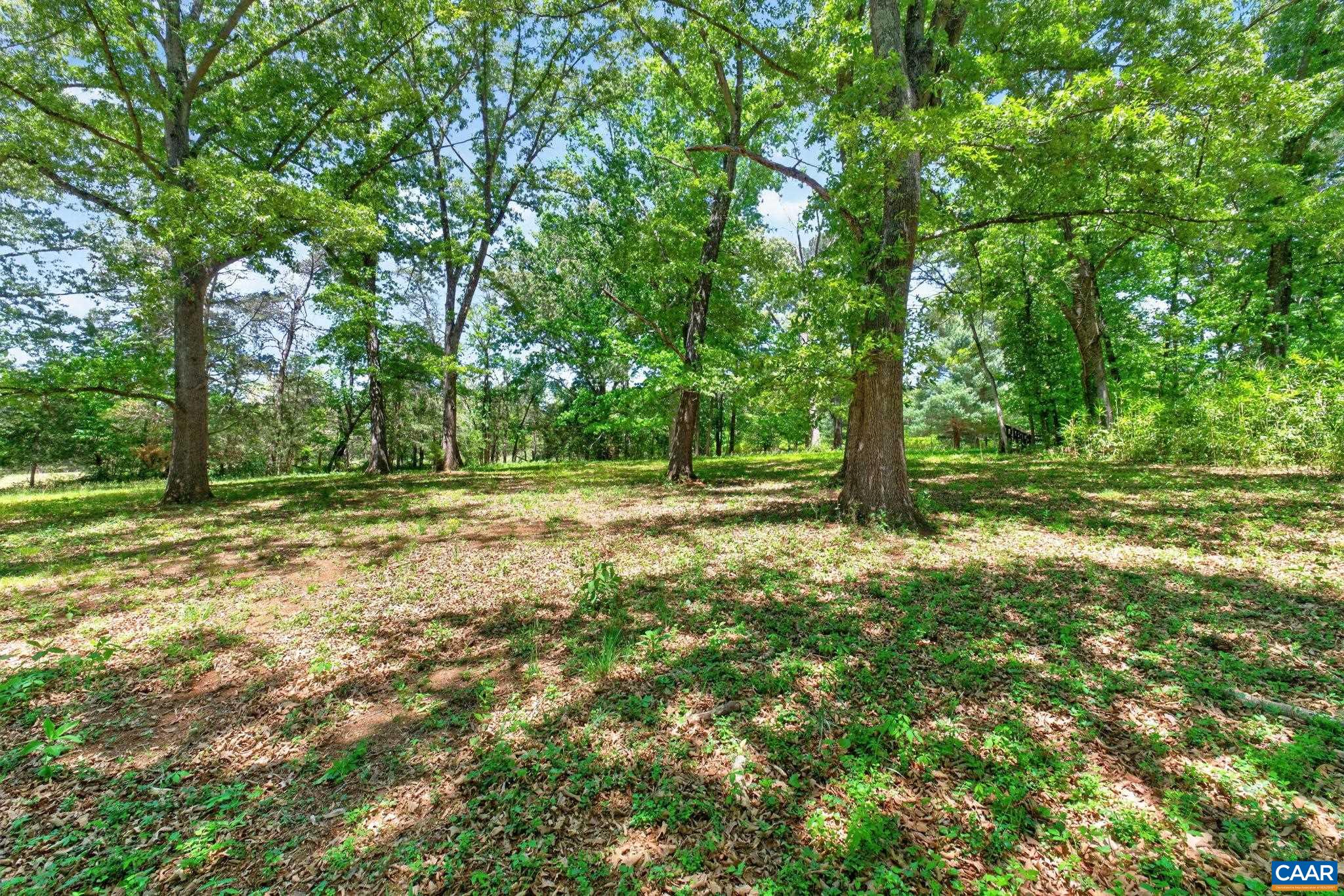 4362 Ivy Road Charlottesville, VA 22903 - Photo 43 of 73