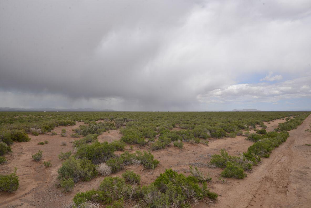 20 Acres Beryl, UT 84714 - Photo 1 of 7 DSC_5427 1
