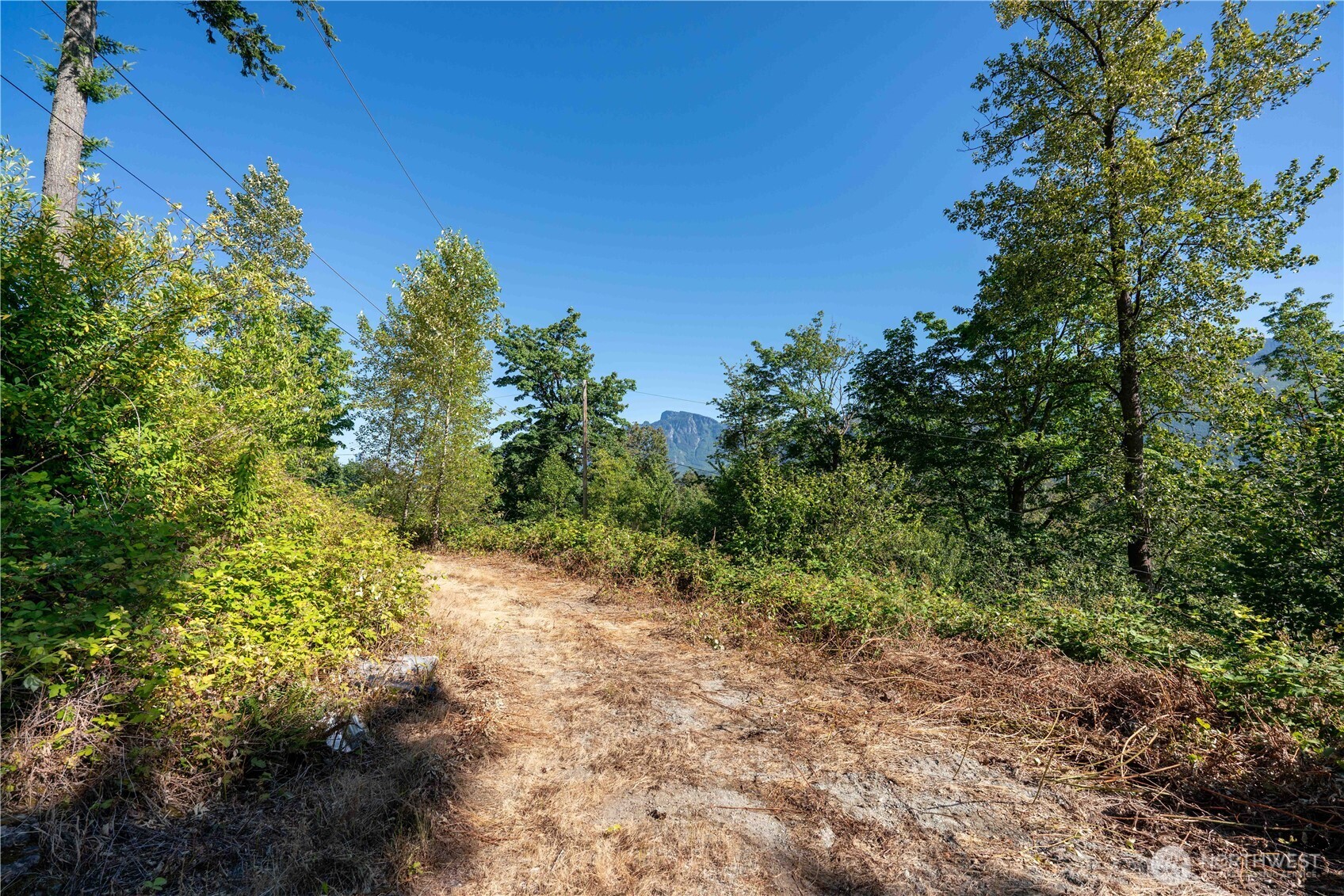 14405 Whiteman Road Gold Bar, WA 98251 - Photo 8 of 37