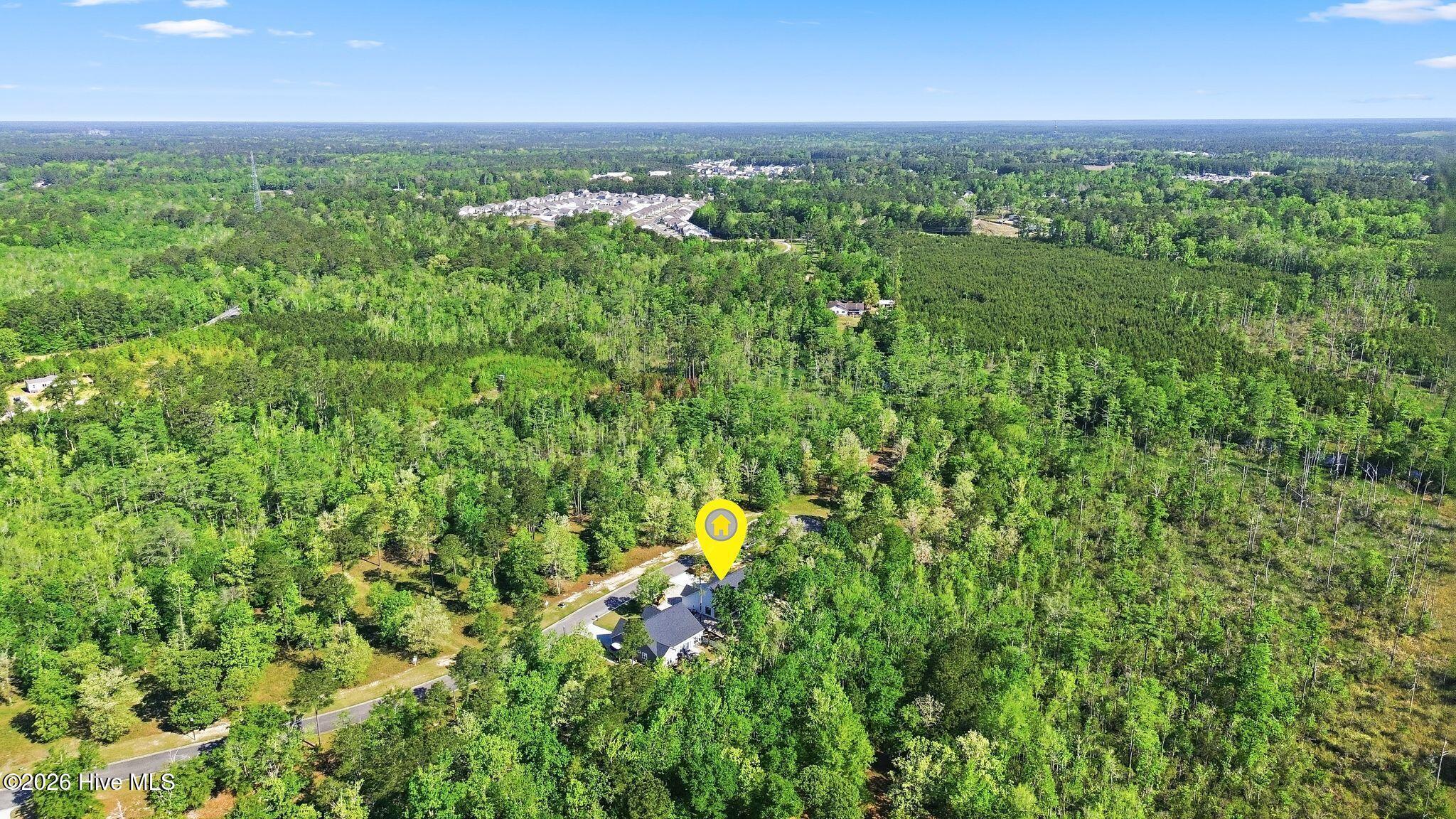 554 Sanctuary Point Southwest Supply, NC 28462 - Photo 49 of 69 61_dji_0224-1