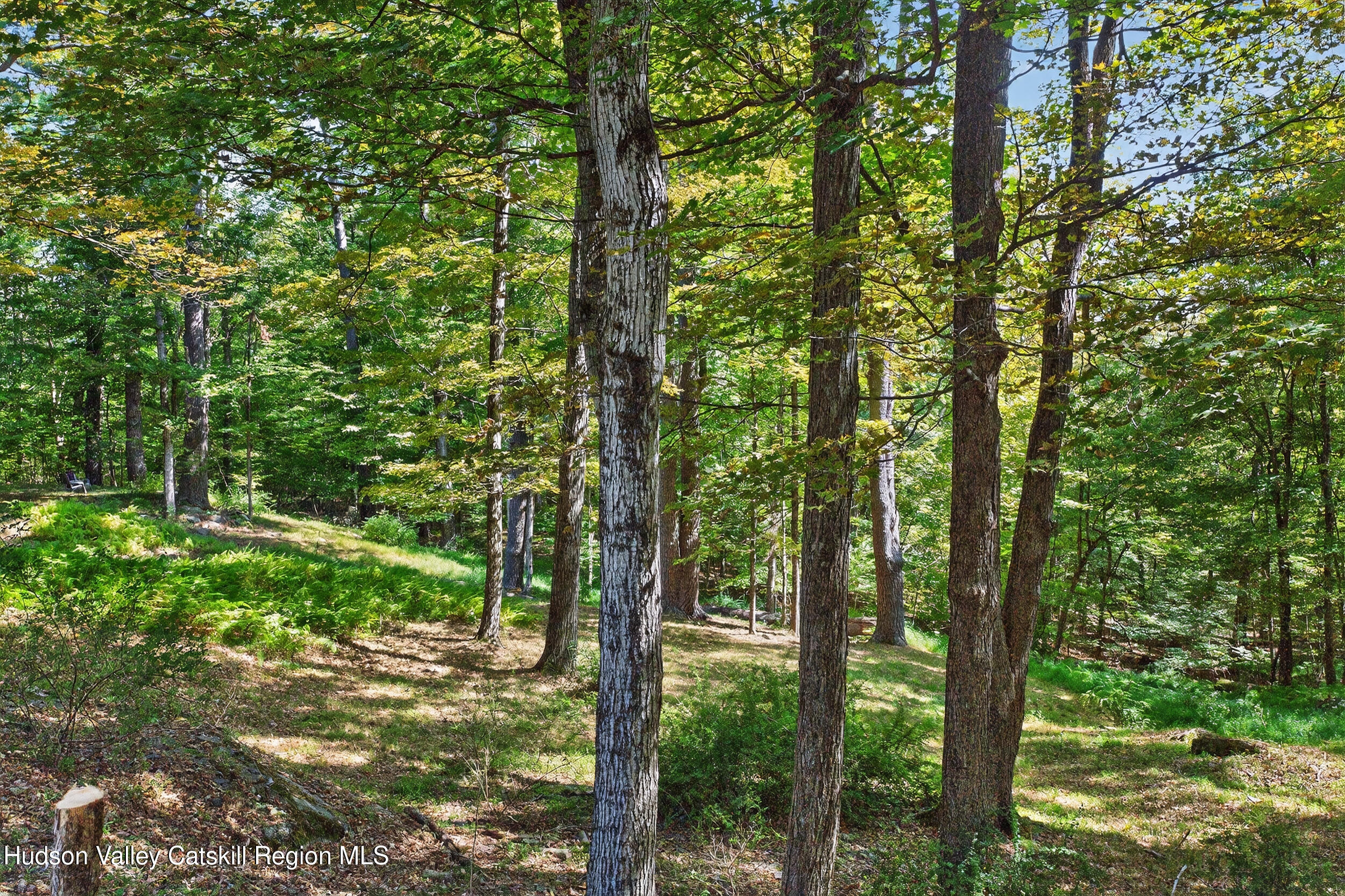 214 Doman Road Freehold, NY 12431 - Photo 44 of 54 31-print-214-doman-rd