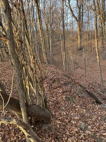 $300,000 | Lot 1 Cty Road, Woodville, WI 54028