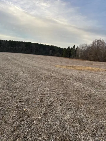 $300,000 | Lot 1 Cty Road, Woodville, WI 54028