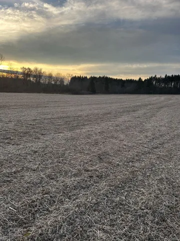 $300,000 | Lot 1 Cty Road, Woodville, WI 54028