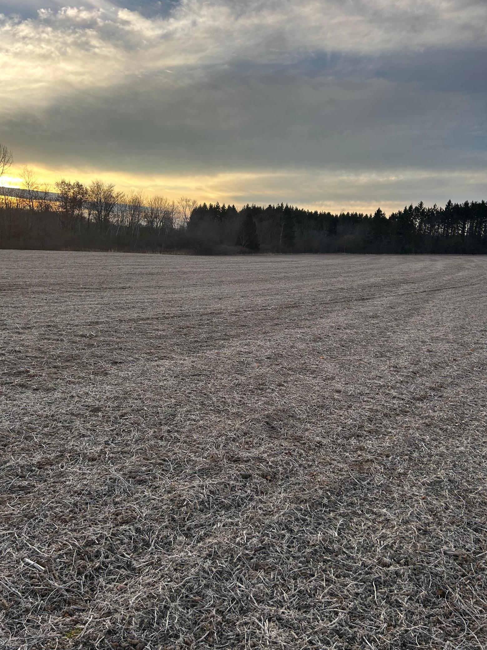 Lot 1 Cty Road Woodville, WI 54028 - Photo 3 of 12