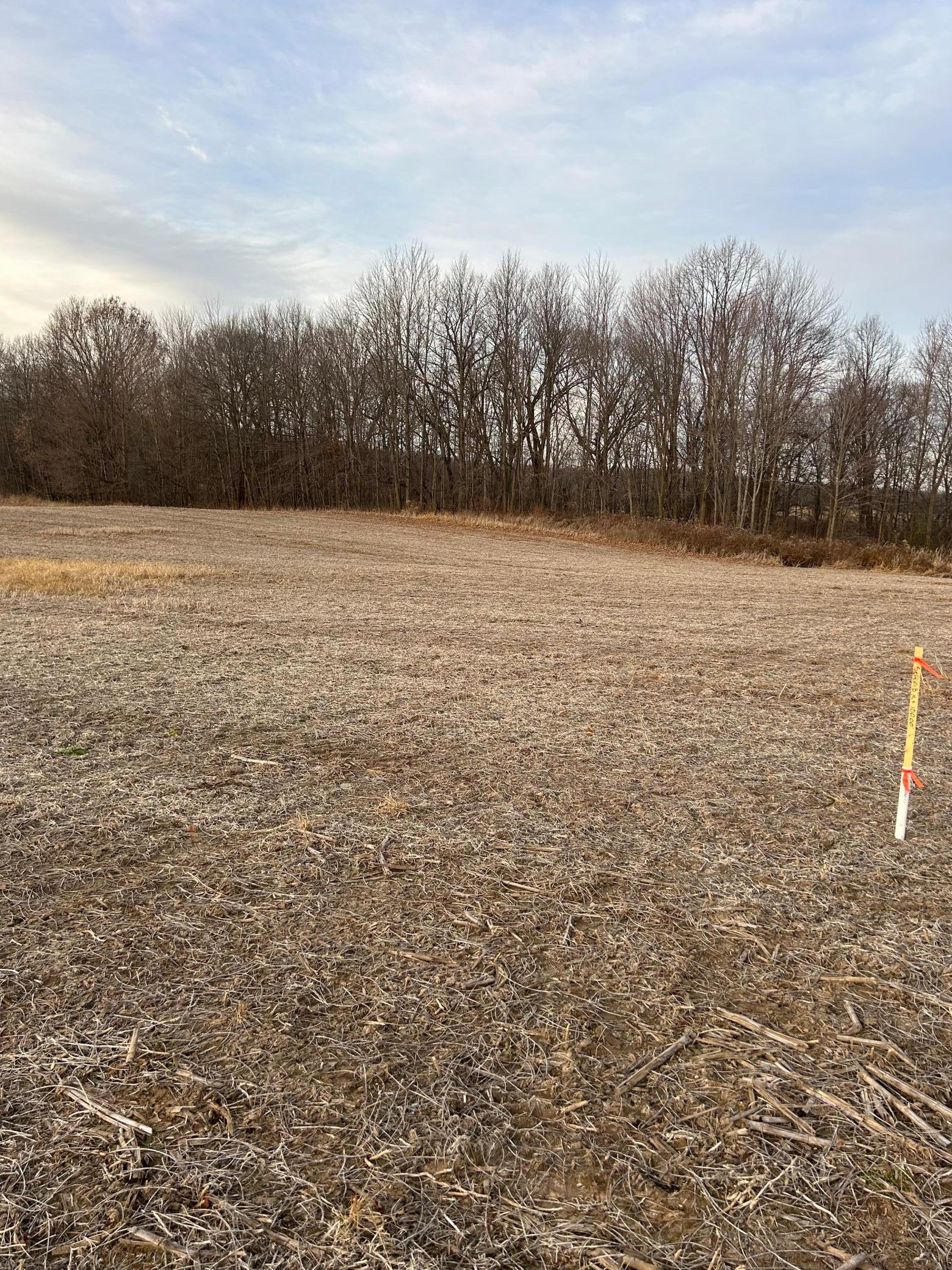 Lot 1 Cty Road Woodville, WI 54028 - Photo 4 of 12