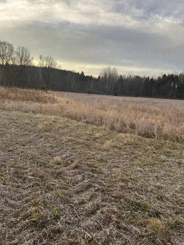 $300,000 | Lot 1 Cty Road, Woodville, WI 54028