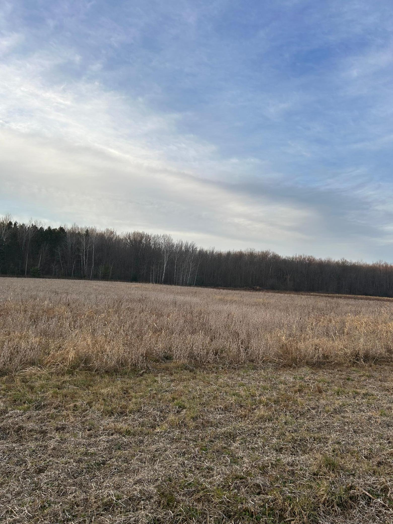 Lot 1 Cty Road Woodville, WI 54028 - Photo 6 of 12