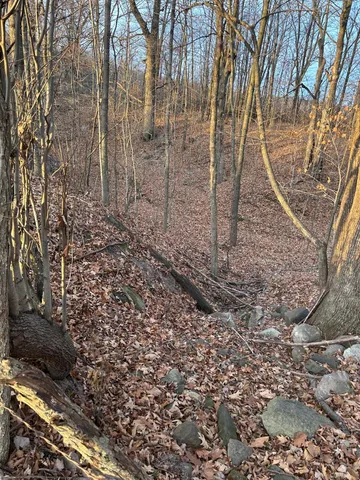 $300,000 | Lot 1 Cty Road, Woodville, WI 54028