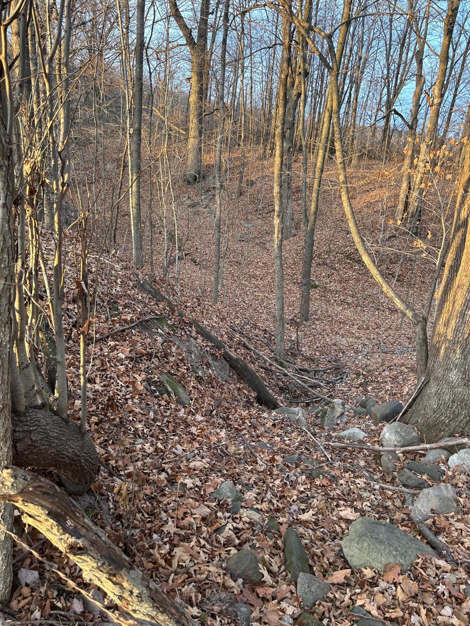 Lot 1 Cty Road Woodville, WI 54028 - Photo 7 of 12