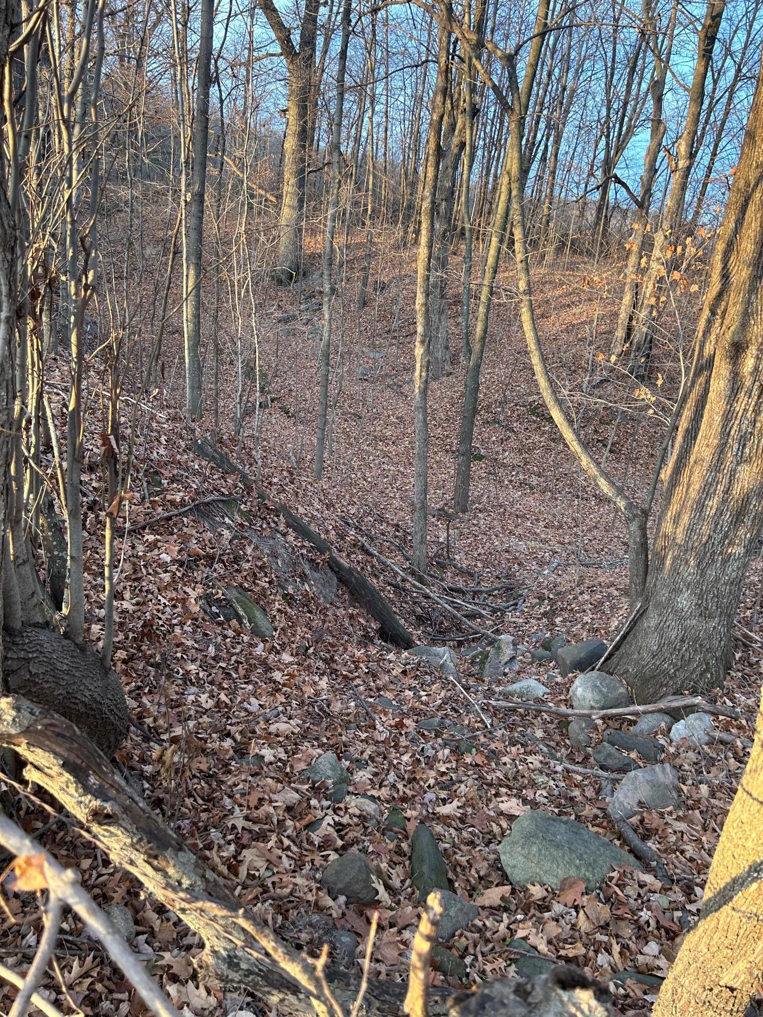 Lot 1 Cty Road Woodville, WI 54028 - Photo 8 of 12