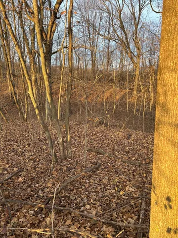 $300,000 | Lot 1 Cty Road, Woodville, WI 54028