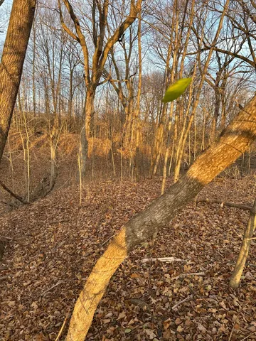 $300,000 | Lot 1 Cty Road, Woodville, WI 54028