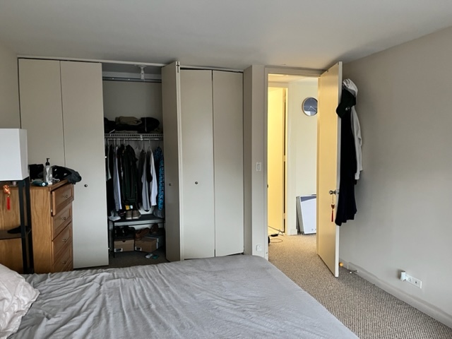 655 West Irving Park Road, Unit 1104 Chicago, IL 60613 - Photo 9 of 26 a view of a bedroom with closet and a closet