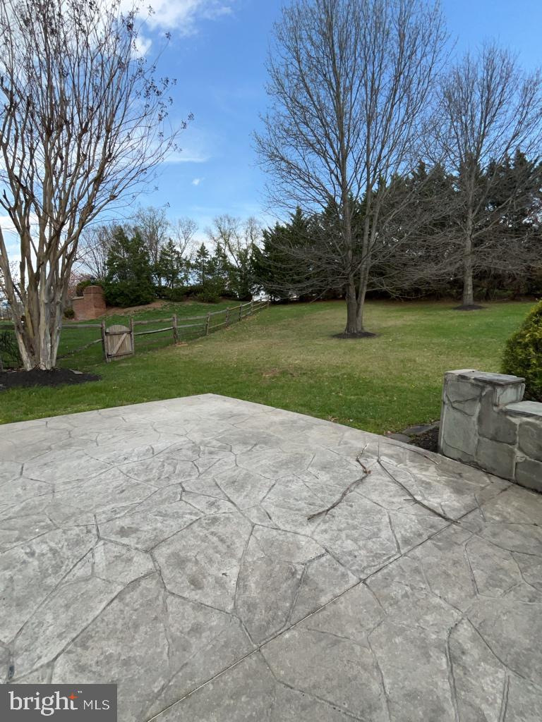 43417 Cedar Place Chantilly, VA 20152 - Photo 13 of 24 Spacious yard with serene greenery.