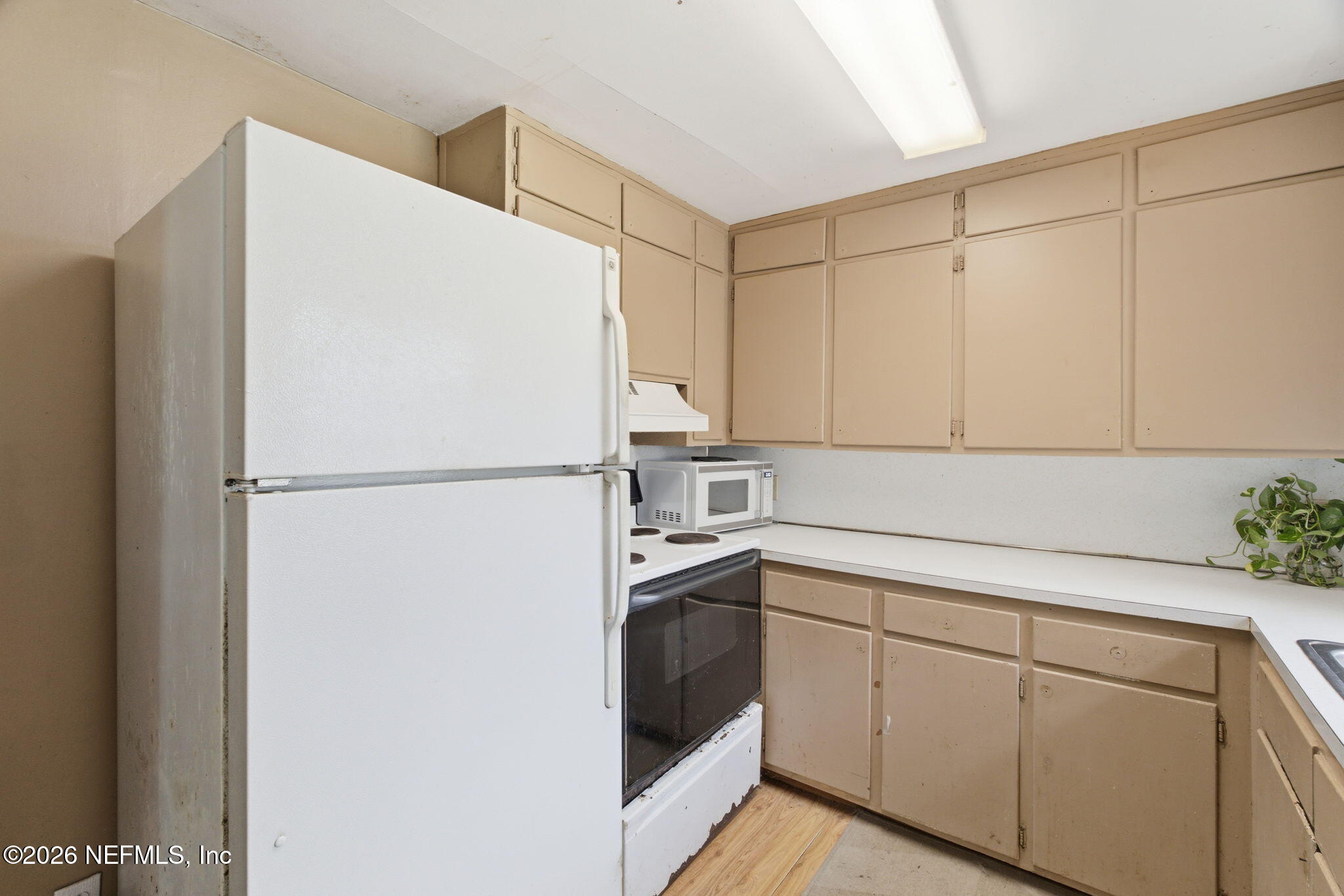 3027 Walter Road Jacksonville, FL 32254 - Photo 14 of 31 ISO_3027 Walter Rd_JAX_012