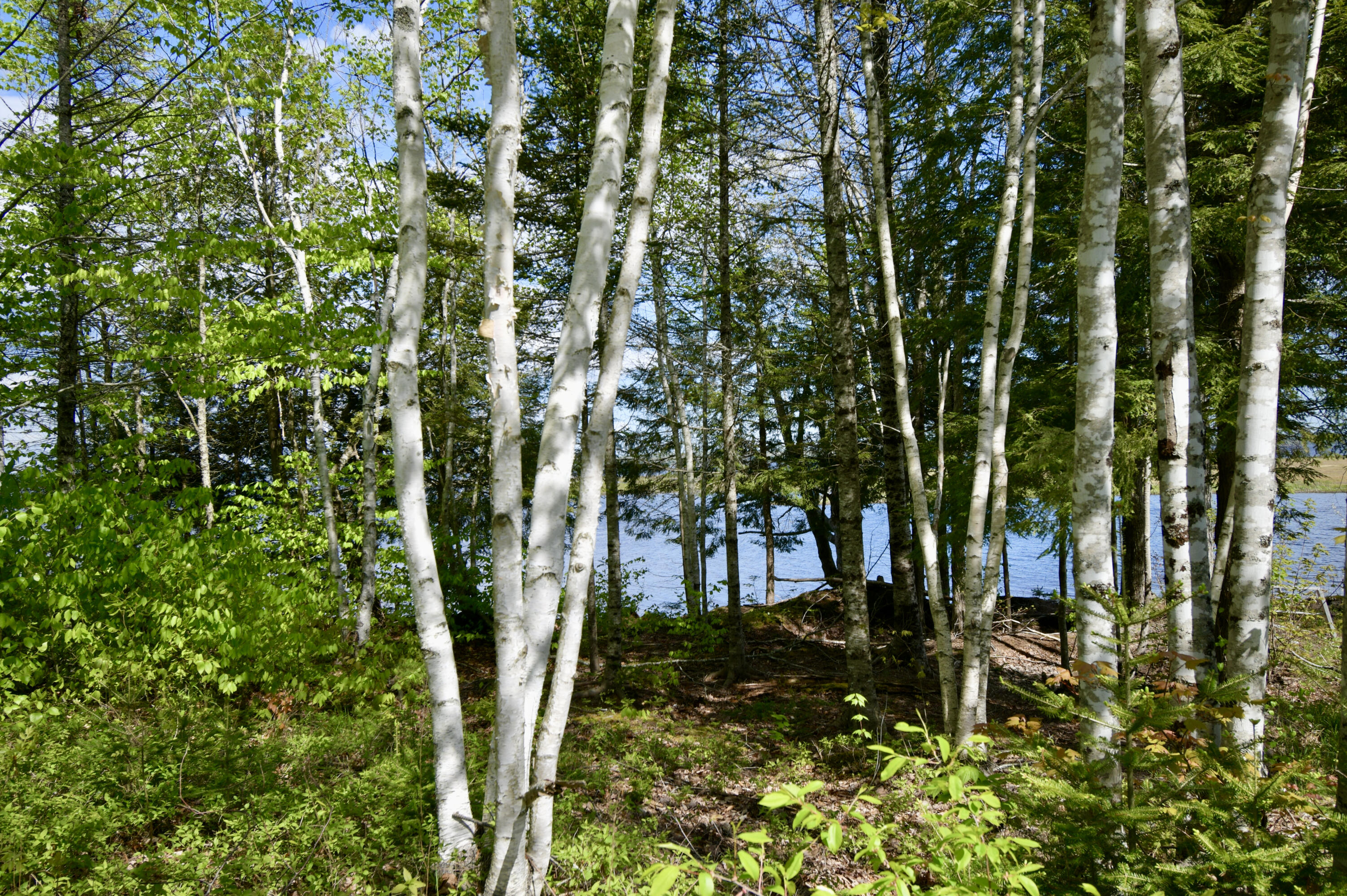102 Whitmore Road Ellsworth, ME 04605 - Photo 12 of 100 958056C5-624B-4051-A733-1C1DECB82799_1_2