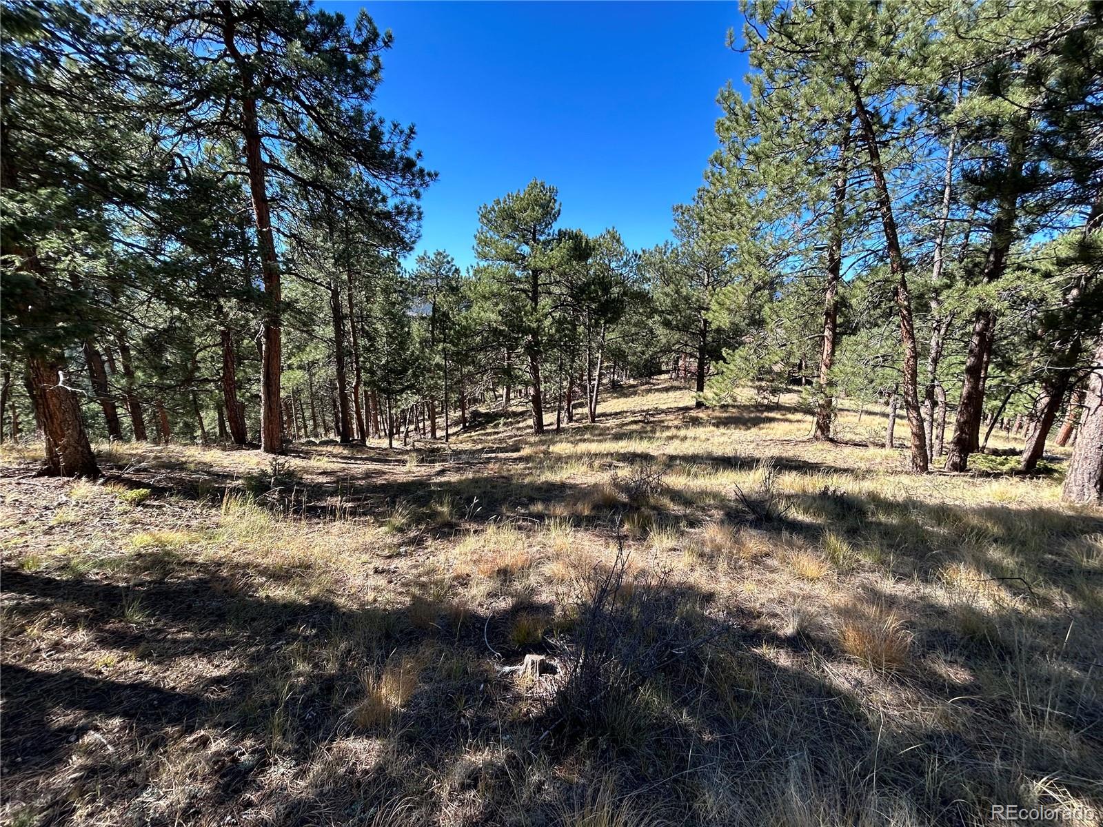 0 White House Evergreen, CO 80439 - Photo 2 of 3 a view of outdoor space with trees