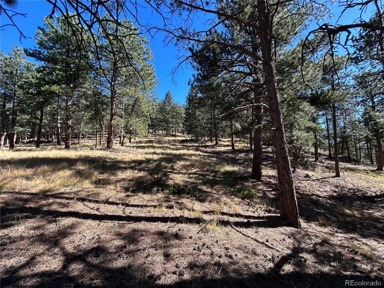 0 White House Evergreen, CO 80439 - Photo 3 of 3 a view of a yard with water fountain