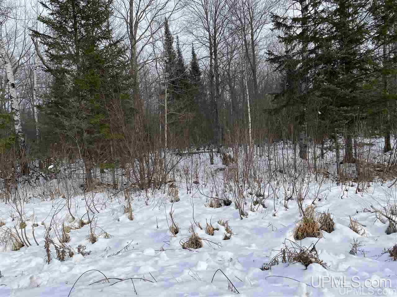 On South Barber Road Bessemer, MI 49911 - Photo 18 of 21 Gallery Image 18