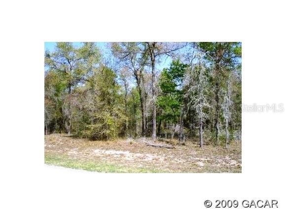 10 Northeast 108 Lane Bronson, FL 32621 - Photo 1 of 1