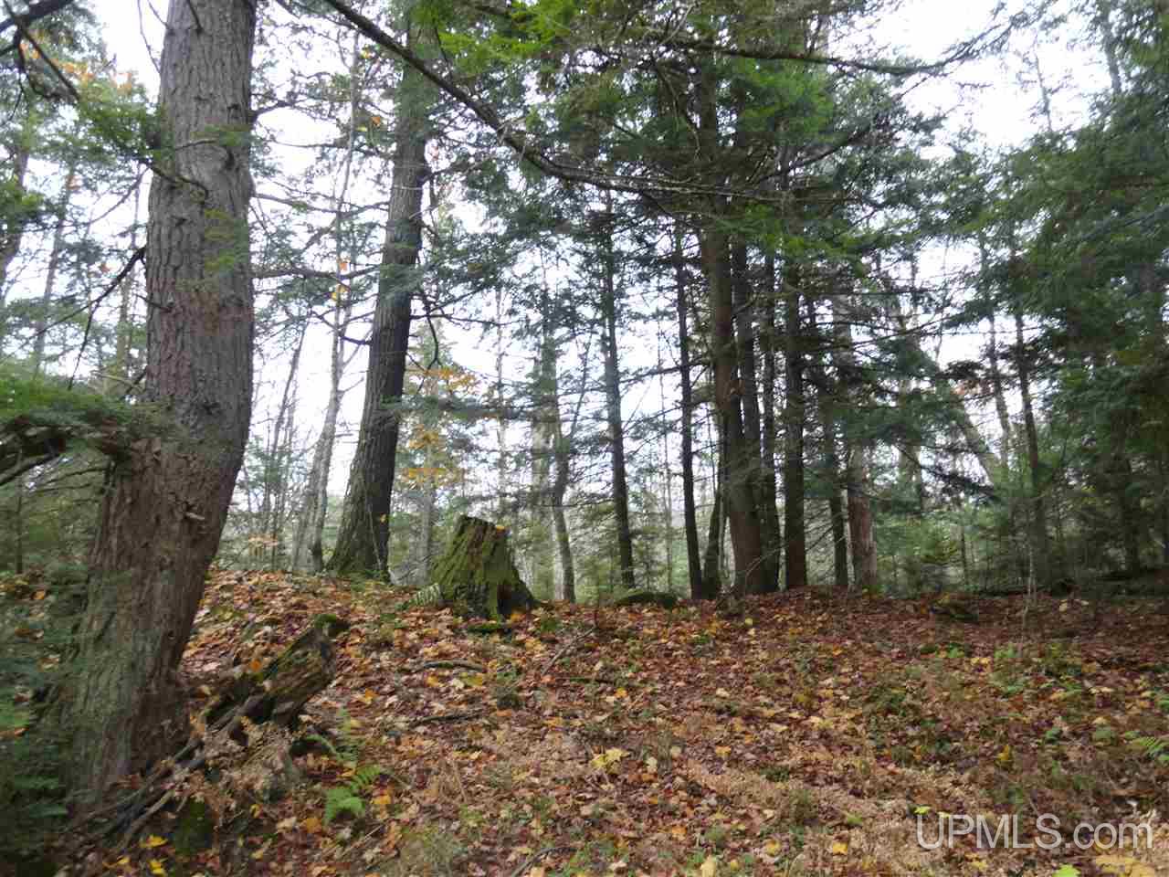 510 Rd Marquette Mi 49855 Road Negaunee, MI 49866 - Photo 20 of 26