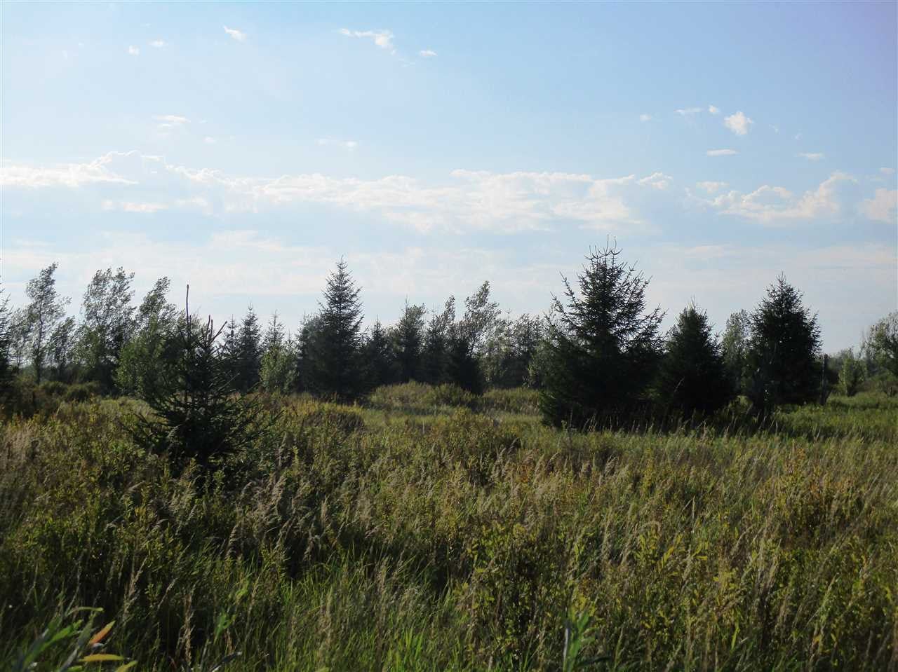 Xx North Jeffs Road Merritt, MI 49667 - Photo 32 of 47 Gallery Image 32