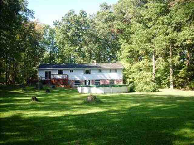 11554 Kruse Road Petersburg, MI 49270 - Photo 9 of 13 Home Rear