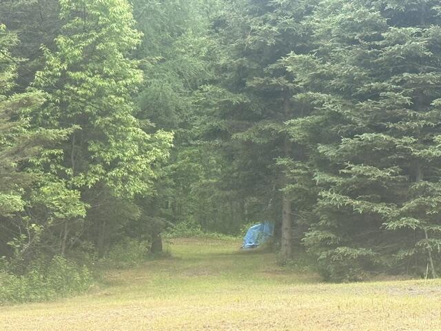 687 North Perley Brook Road Fort Kent, ME 04743 - Photo 3 of 11 IMG_1282
