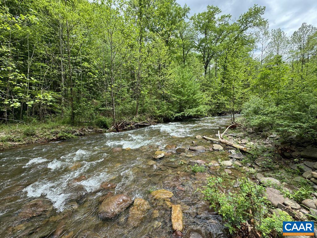 Tbd Starey Draft Lane West Augusta, VA 24485 - Photo 11 of 13 a view of a green field with lots of bushes