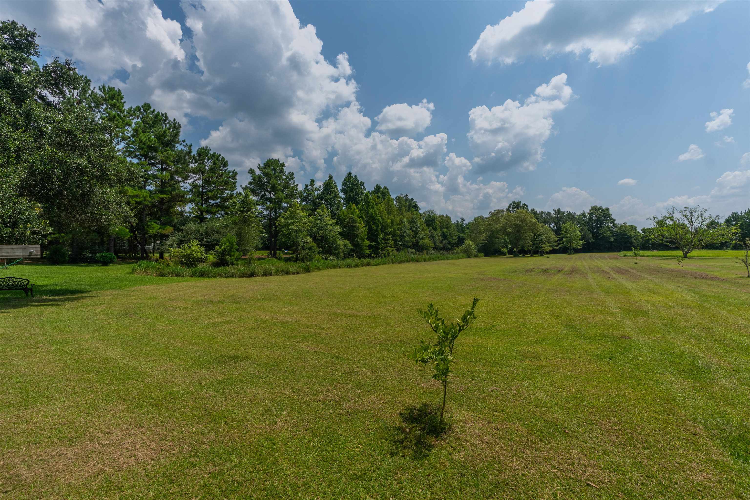 16670 Danne Road Fairhope, AL 36532 - Photo 46 of 47