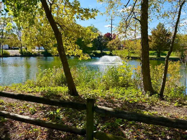 a backyard of a house with lots of green space