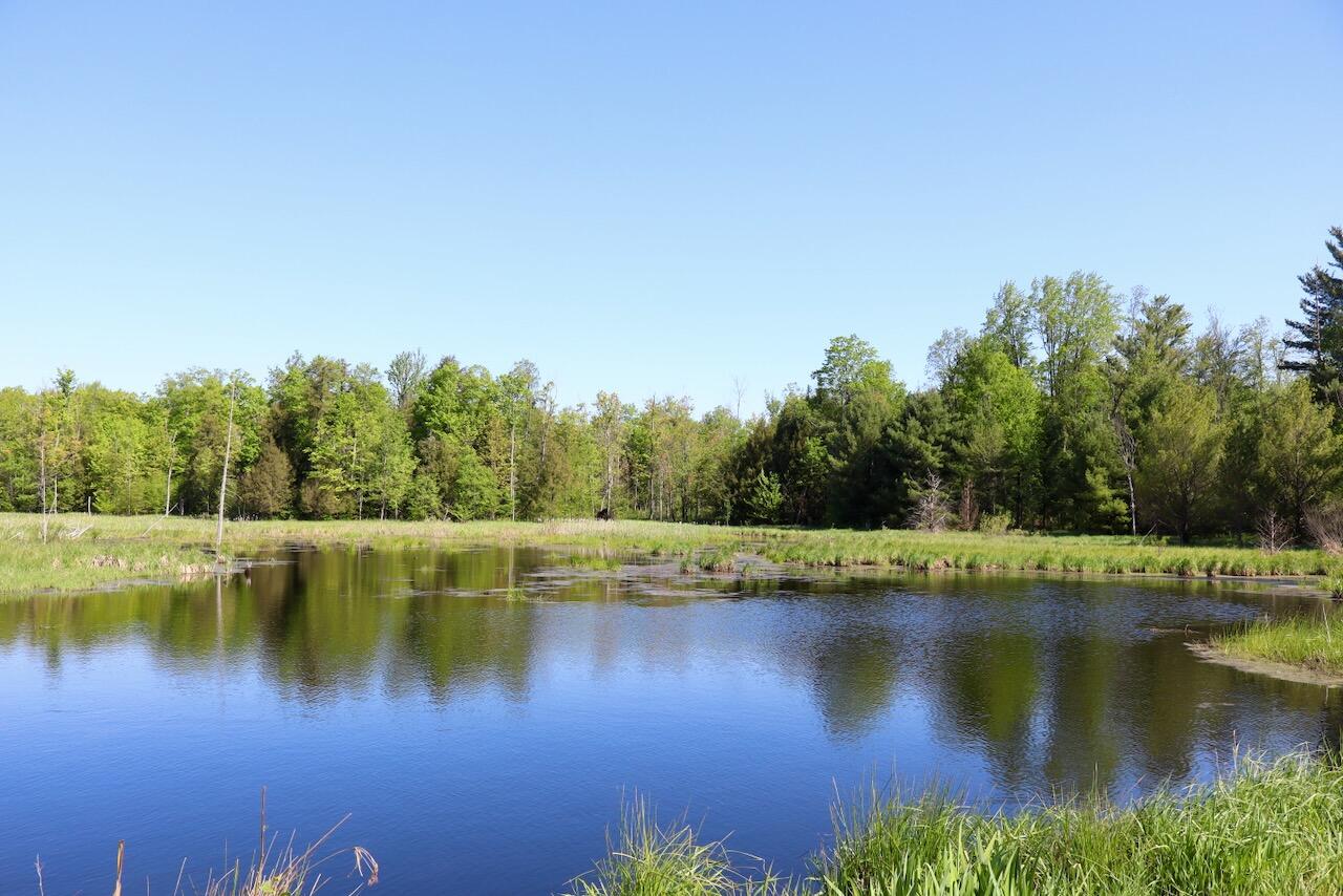 11547 1 Mile Road Leroy, MI 49655 - Photo 10 of 73 9_C