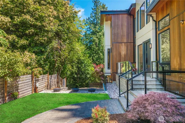 a view of a backyard with potted plants and large tree