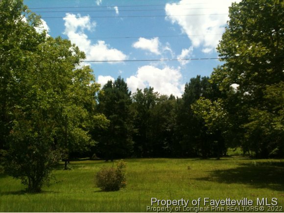 405 Anderson Creek School Road Bunnlevel, NC 28323 - Photo 1 of 4 Gallery Image 1