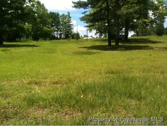 405 Anderson Creek School Road Bunnlevel, NC 28323 - Photo 2 of 4 Gallery Image 2