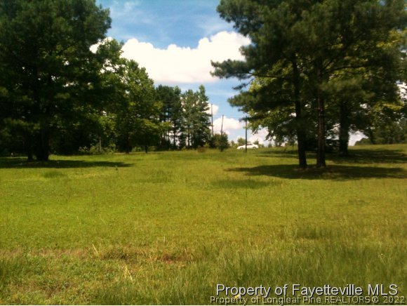 405 Anderson Creek School Road Bunnlevel, NC 28323 - Photo 3 of 4 Gallery Image 3